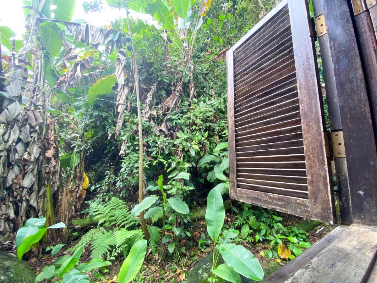 Hostel Sintonia Surf E Bar *