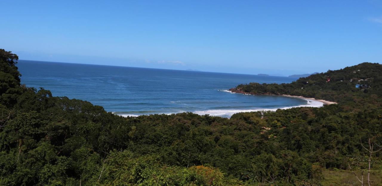 Sintonia Surf E Bar